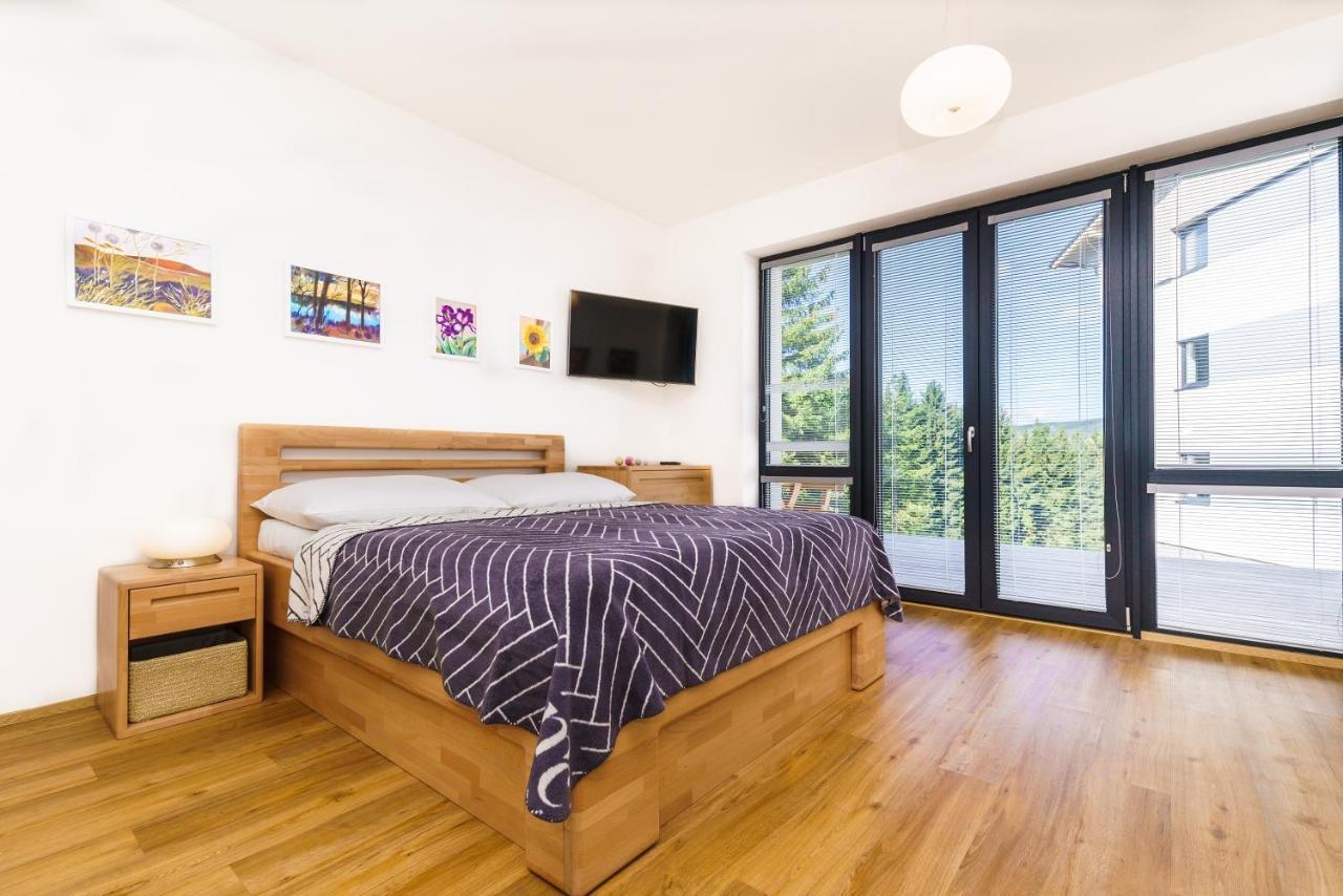 Horsky Apartman Temari 6 Klinovec Loučná pod Klínovcem المظهر الخارجي الصورة